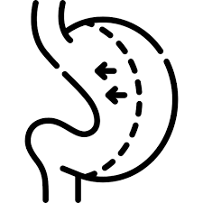 Bariatric Surgery Icon