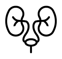 Urology Icon