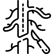Vascular Surgery Icon
